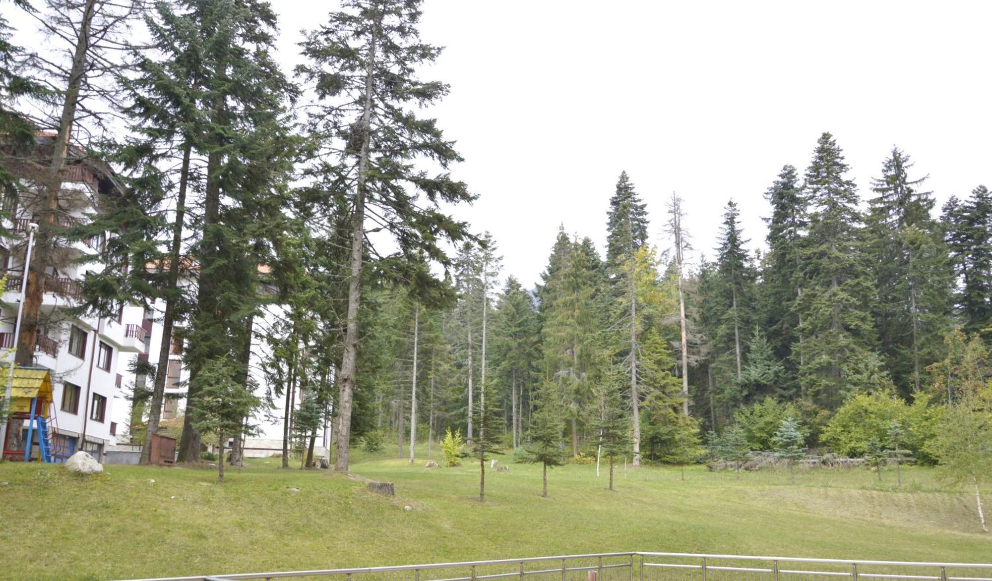 Persey Flora Apartments Borovets Exteriör bild